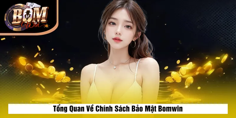 Tổng Quan Về Chính Sách Bảo Mật Bomwin