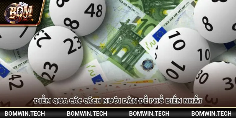 Điểm qua các cách nuôi dàn đề phổ biến nhất